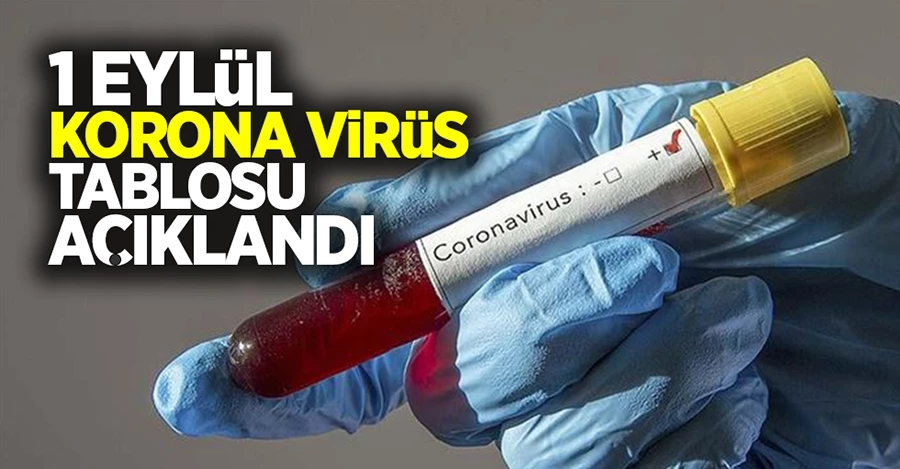 Son dakika: Sağlık Bakanı Fahrettin Koca 1 Eylül koronavirüs vaka tablosunu paylaştı