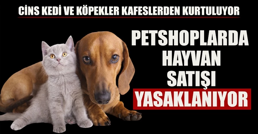 Petshoplarda hayvan satışı yasaklanıyor