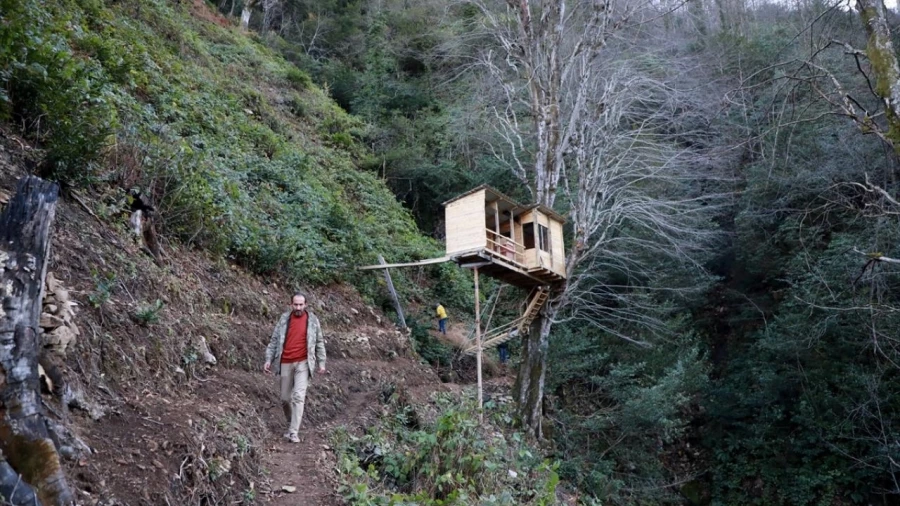 Gürültüden kurtulmak için ağaç ev yaptı