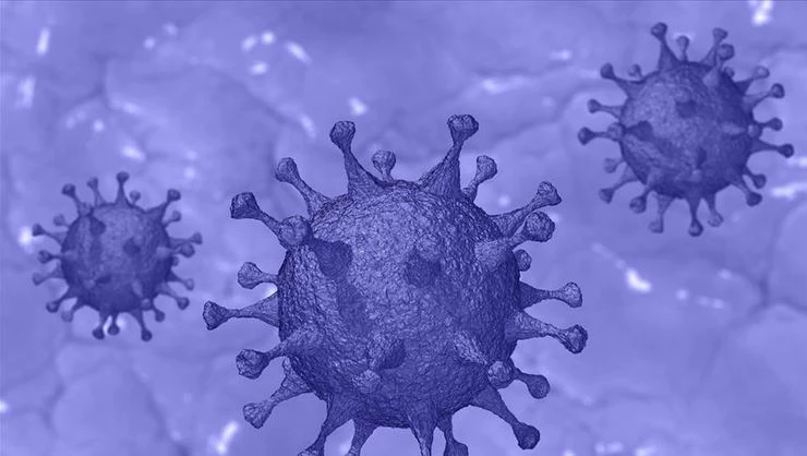 Korkutan araştırma! Koronavirüsün daha tehlikeli ve bulaşıcı yeni bir türü bulundu