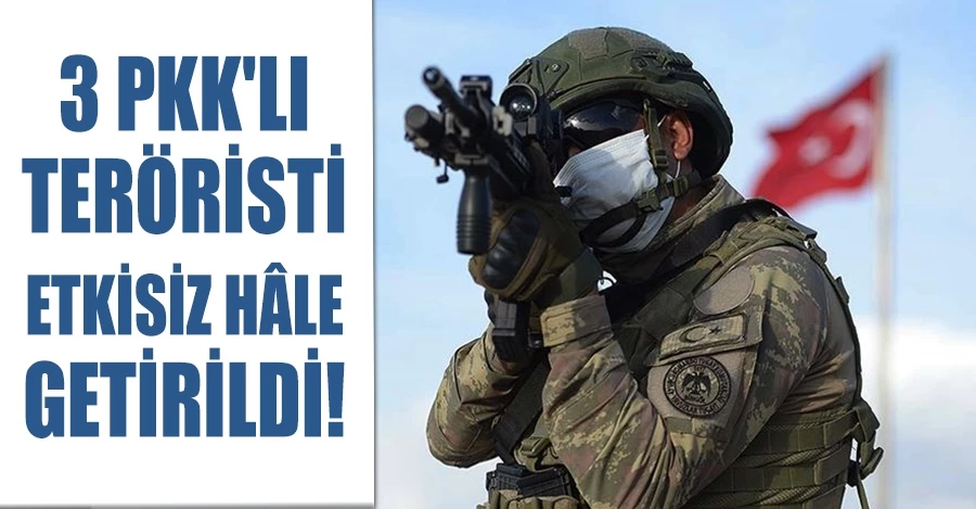 3 PKK