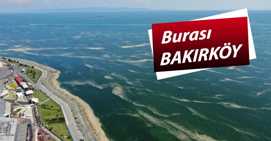 Müsilaj Bakırköy kıyılarını da kapladı