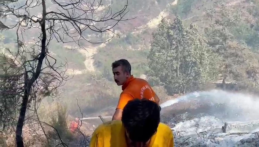  Suriye sınırında orman yangını  