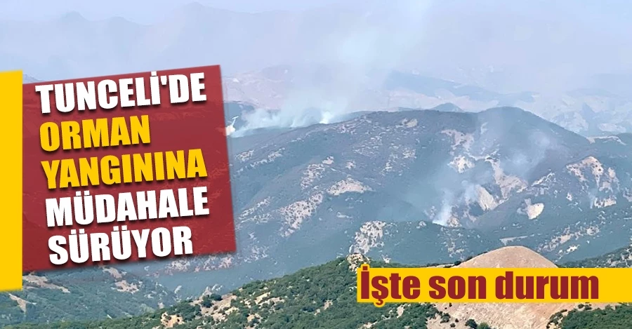 2 helikopter ve 1 uçağın müdahale ettiği Tunceli’deki orman yangınının yüzde 95’i söndürüldü     