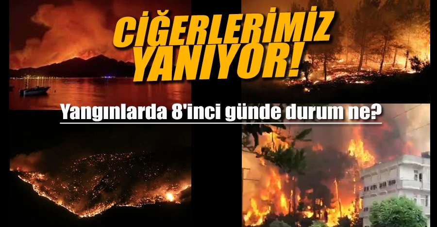 Türkiye yanıyor! Yangınlarda 8