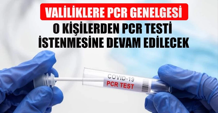 81 ilin Valiliğine gönderildi: O kişilerden PCR testi istenmesine devam edilecek 