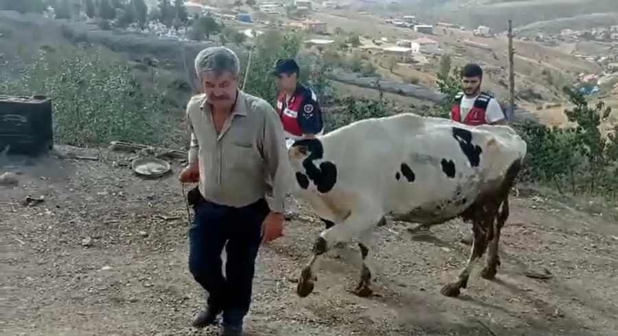 Çalınan inekleri bulununca gözyaşlarını tutamadı 