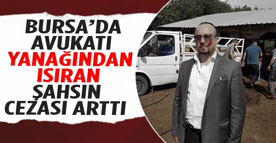 Bursa’da avukatı yanağından ısıran şahsın cezası arttı