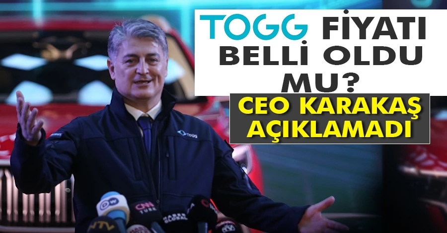 TOGG CEO
