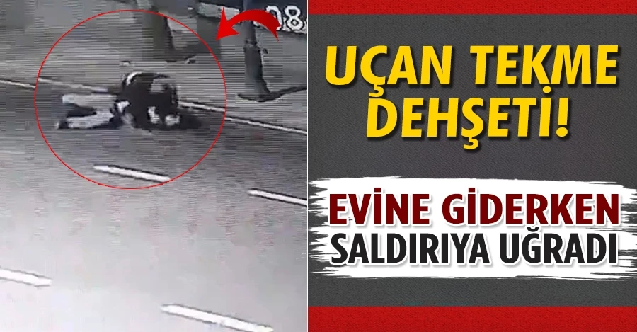 İstanbul’da uçan tekme dehşeti kamerada: Evine giderken saldırıya uğradı   