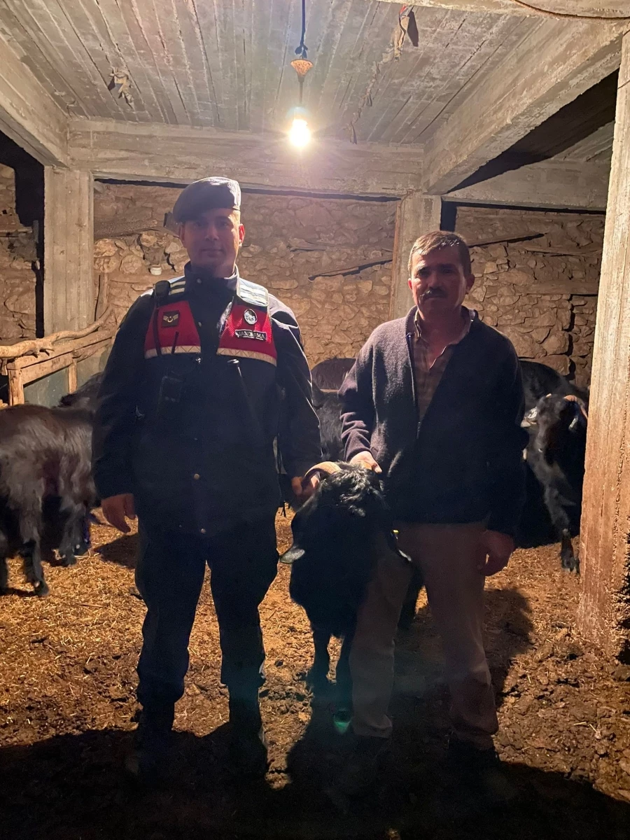 Jandarma kayıp keçileri dron ile buldu   