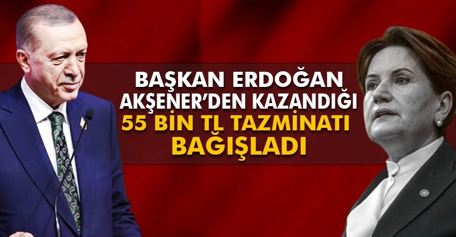 Başkan Erdoğan, Akşener