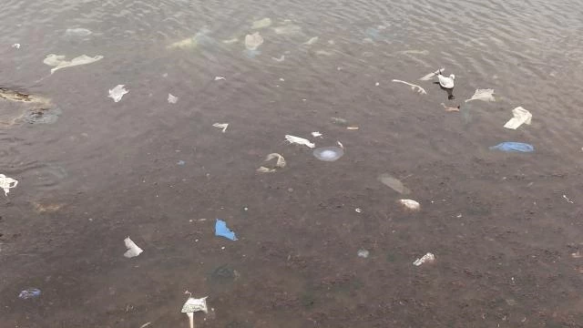 Kadıköy’ü lodos vurdu: Caddebostan sahilini plastik atıklar kapladı