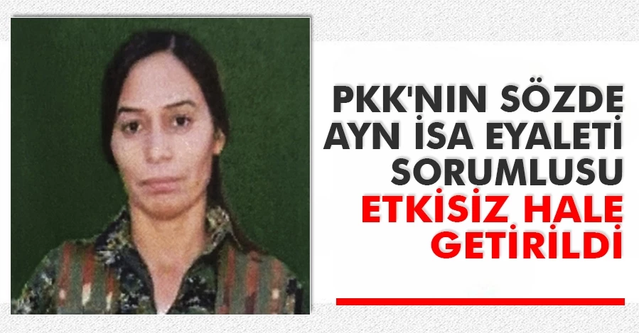 MİT, terör örgütü PKK/YPG