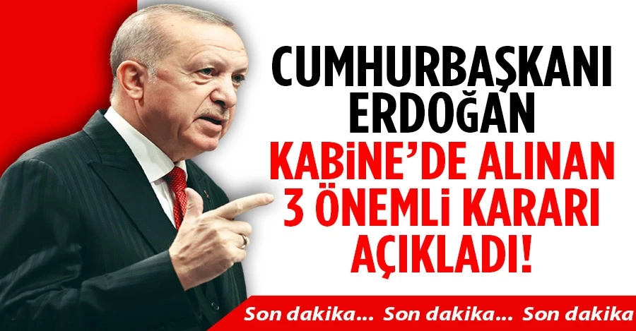 Cumhurbaşkanı Erdoğan, Kabine