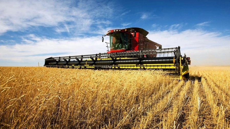 Ukrayna: “Batı ülkelerine tahıl ihracatı her ay yüzde 50 artıyor”