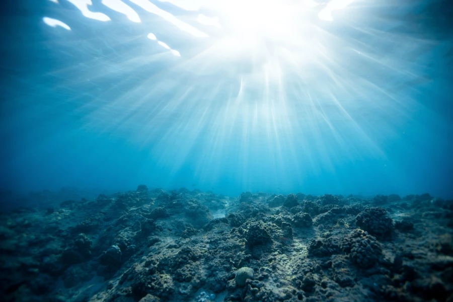 Derin okyanus umduğumuzdan çok daha az karbon depoluyor olabilir
