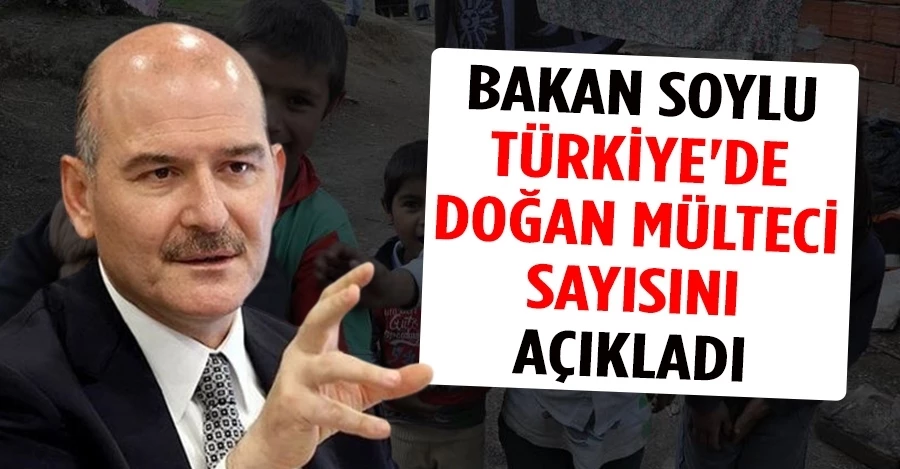 Bakan Soylu Türkiye