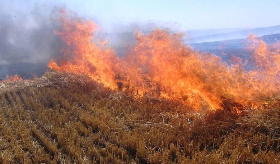 Sıcak hava Erzincan’da yangınları artırdı   