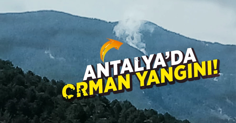 Antalya’da orman yangını 