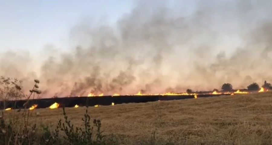 130 dönüm ekili bezelye ile 40 dönüm buğday alev alev yandı   