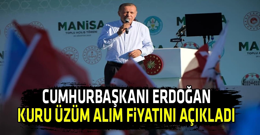 Cumhurbaşkanı Erdoğan kuru üzüm alım fiyatını açıkladı	