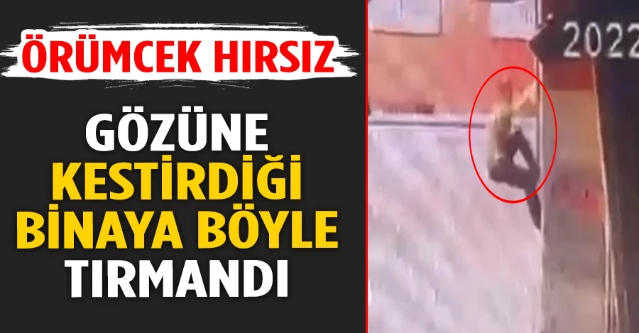 Zeytinburnu’nda hırsız gözüne kestirdiği binaya böyle tırmandı   