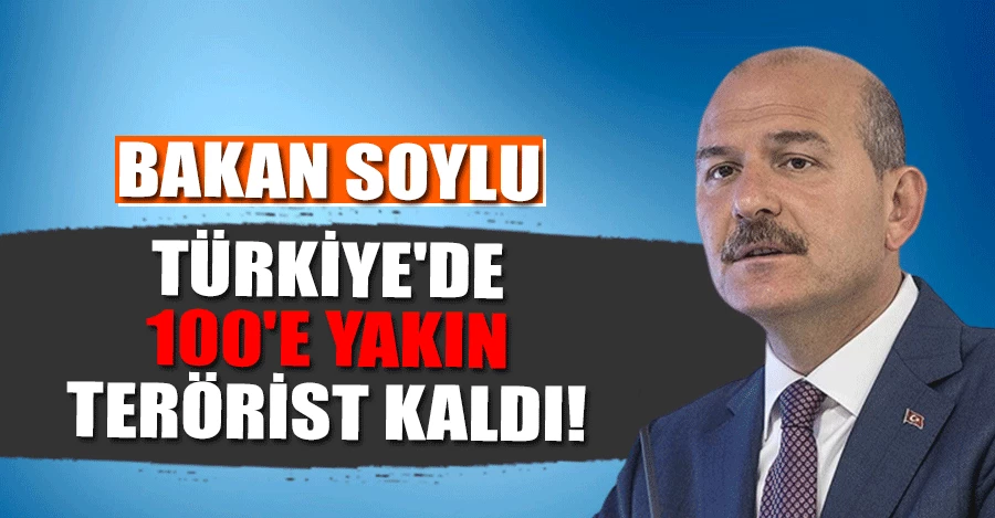 Bakan Soylu: Türkiye