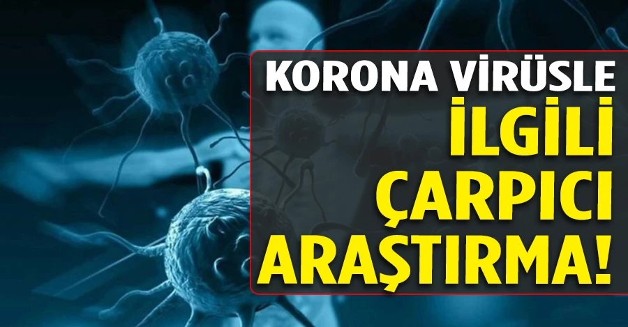 Korona virüsle ilgili çarpıcı araştırma: 