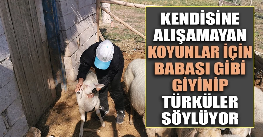 Genç kız kendisine alışamayan koyunlar için babası gibi giyinip türküler söylüyor 