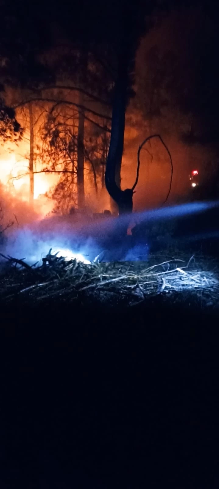 Orman yangını erken müdahale ile söndürüldü