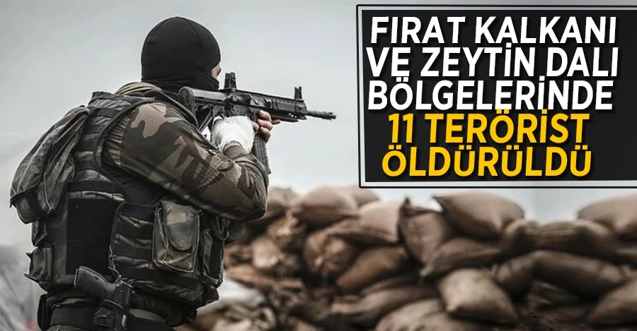 Fırat Kalkanı ve Zeytin Dalı bölgelerinde 11 terörist öldürüldü	