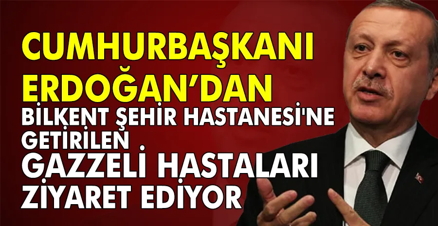 Cumhurbaşkanı Erdoğan, Türkiye