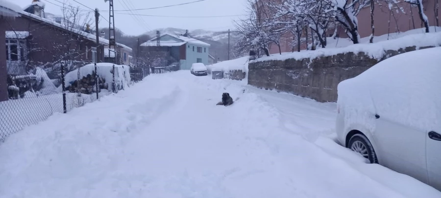 Tunceli’de 251 köy yolu ulaşıma kapandı   