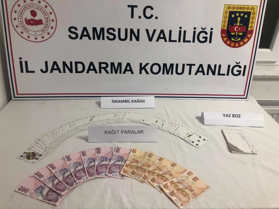 Jandarmadan kumar baskını: 10 şahsa 40 bin TL ceza 