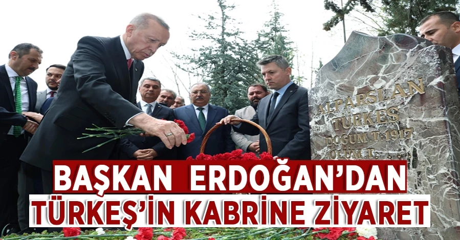 Cumhurbaşkanı Erdoğan, Türkeş