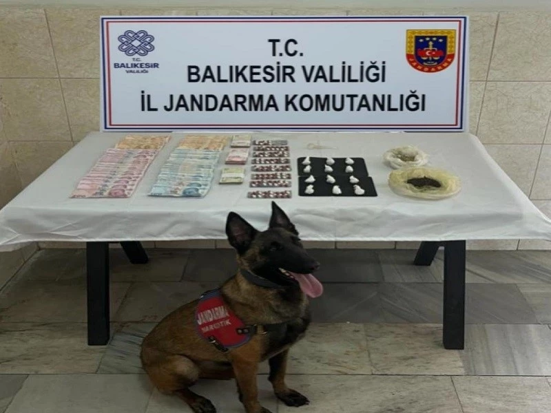  Jandarma narkotik köpeği Çömlek