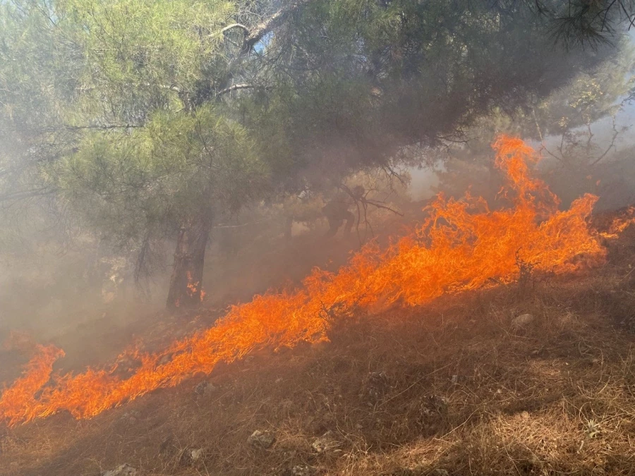Ormana sıçrayan yangın 3 saatte kontrol altına alındı 