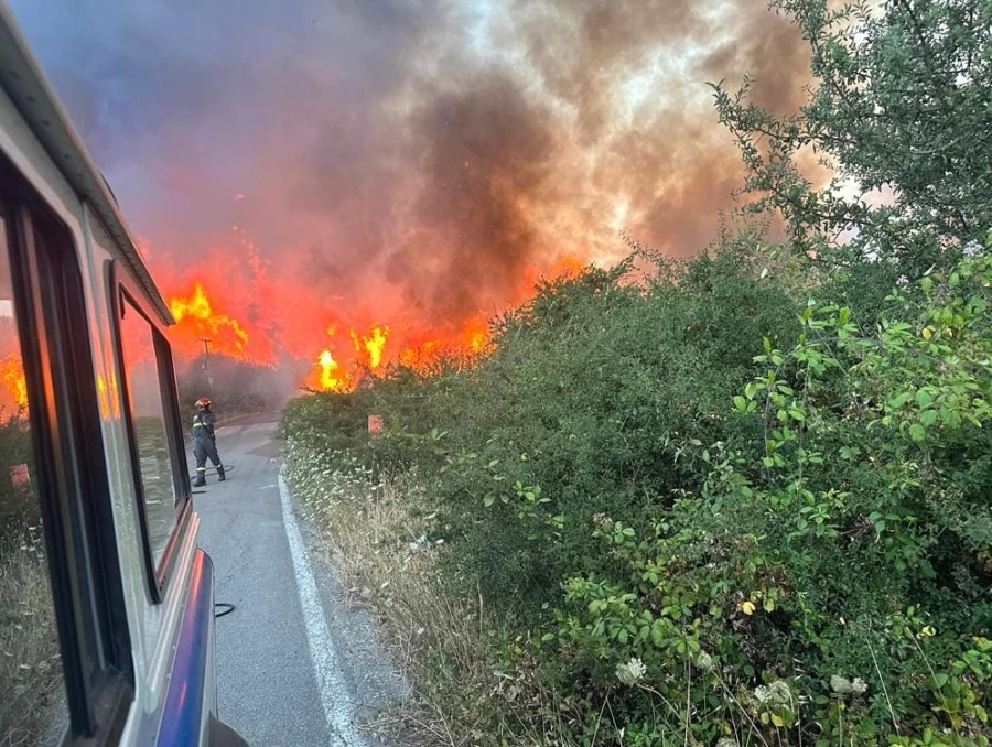  İtalya’daki orman yangınında alevler havalimanına yaklaştı 