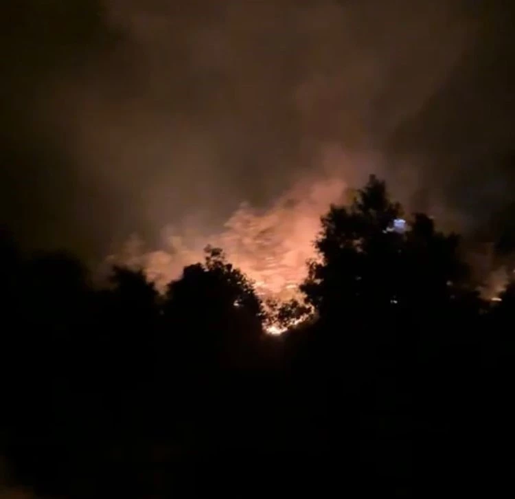  Gazipaşa’daki orman yangınında 3 dönüm alan zarar gördü 