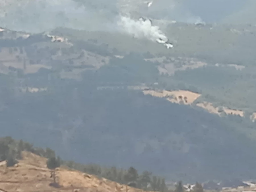  İzmir’de 2 orman yangını yaklaşık 30 dakikada kontrol altına alındı 
