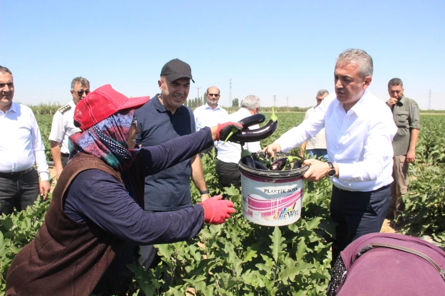  Karaman’da sebze üretimi artıyor 