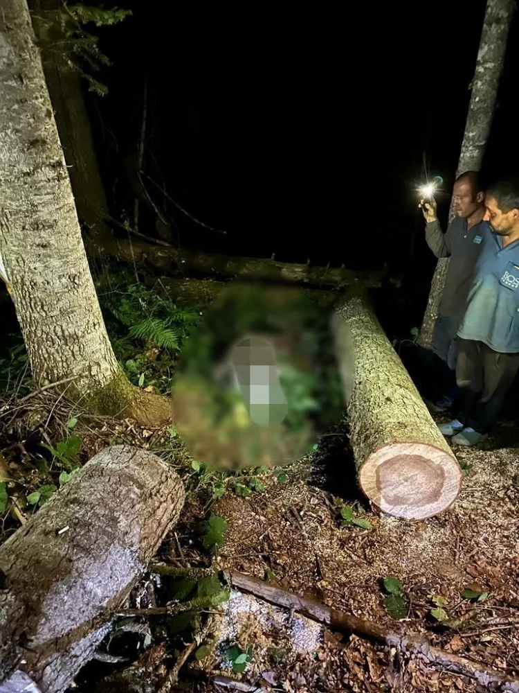 Kestiği ağacın altında kalan orman işçisi hayatını kaybetti 