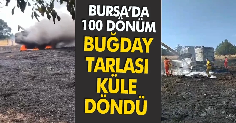 Bursa’da 100 dönüm buğday tarlası küle döndü
