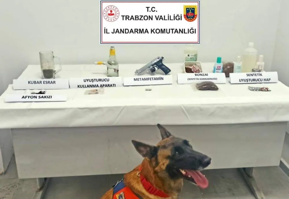 Jandarma narkotik köpeği ‘Limon’ ilk operasyonunda tespit etti 