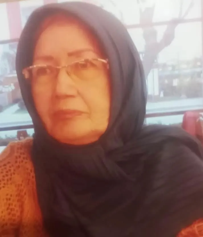 Kamyonetin çarptığı 73 yaşındaki kadın hayatını kaybetti 