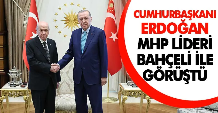 Cumhurbaşkanı Erdoğan, MHP Lideri Bahçeli ile görüştü   