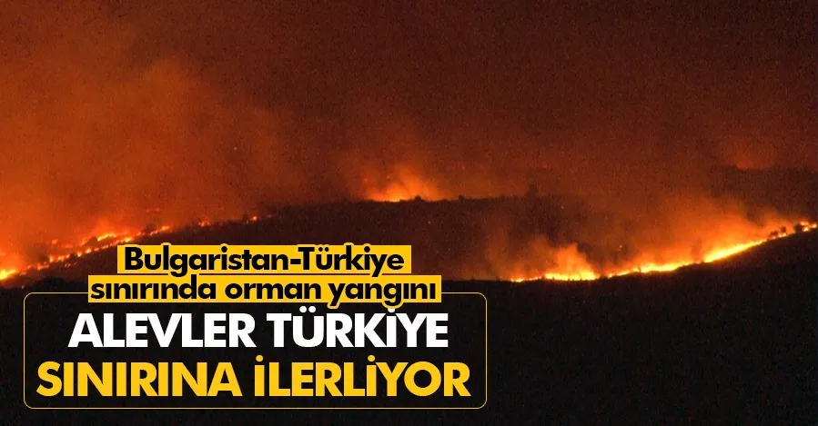  Bulgaristan-Türkiye sınırında orman yangını: Alevler Türkiye sınırına ilerliyor   