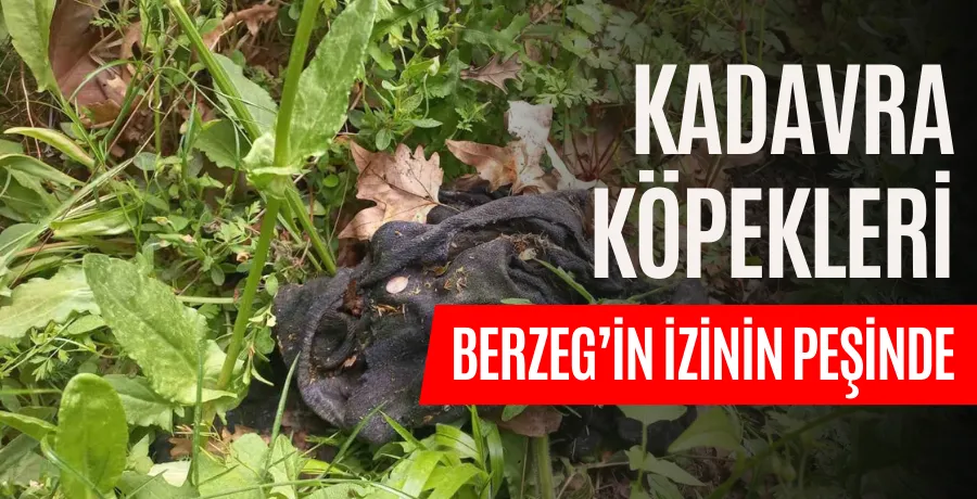 Kadavra köpekleri ormanda Korhan Berzeg’e ait iz arıyor