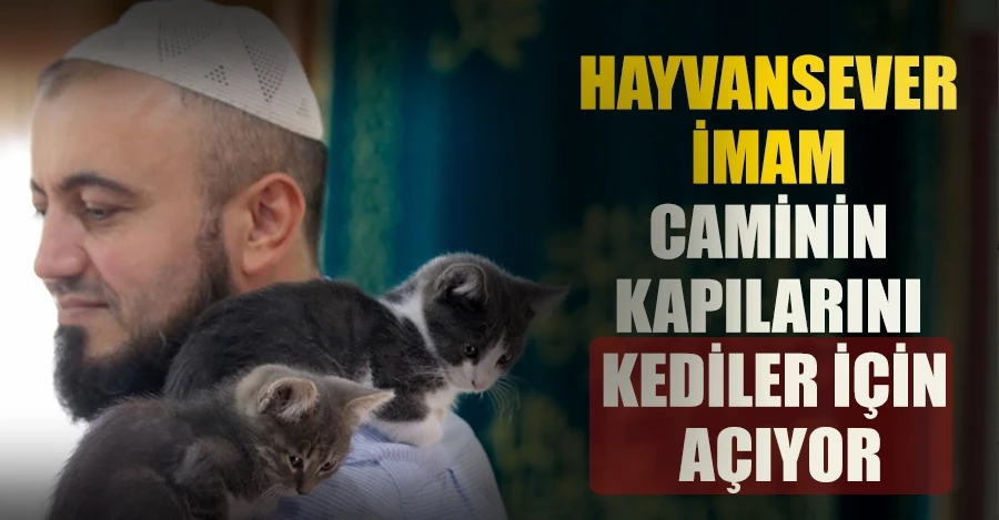Hayvansever imam caminin kapılarını soğuk günlerde kediler için de açıyor